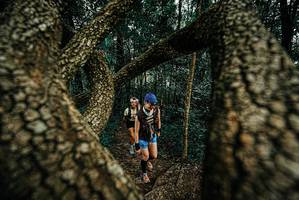 BIB: 
                            <button type="button" onclick="openModal(25674247)" class="btn btn-primary btn-sm float-right btn-popup" data-toggle="modal" data-target=".modal-high-quality">
                        <i class="fas fa-shopping-cart"></i> Add to Cart
                    </button>
                                            <button type="button" onclick="isThisMe(25674247, true)" class="btn btn-success btn-sm float-right btn-popup btn-isme hidden" data-toggle="tooltip" data-placement="bottom" title="นี่คือรูปของคุณใช่ไหม คลิกที่นี่เพื่อเอาเข้าอัลบั้ม">
                        <i class="fas fa-plus"></i> Add to album
                    </button>
                    <button type="button" onclick="isThisMe(25674247, false)" class="btn btn-warning btn-sm float-right btn-popup btn-isnotme hidden">
                        <i class="fas fa-ban"></i> Remove from album
                    </button>